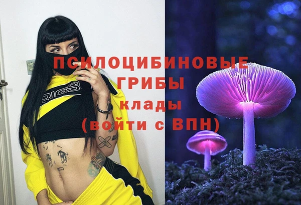 прущий лед Вязьма